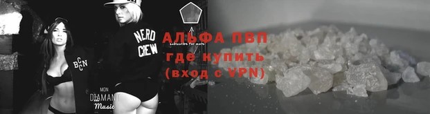 стафф Алзамай
